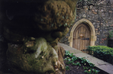 A Tree and a Door